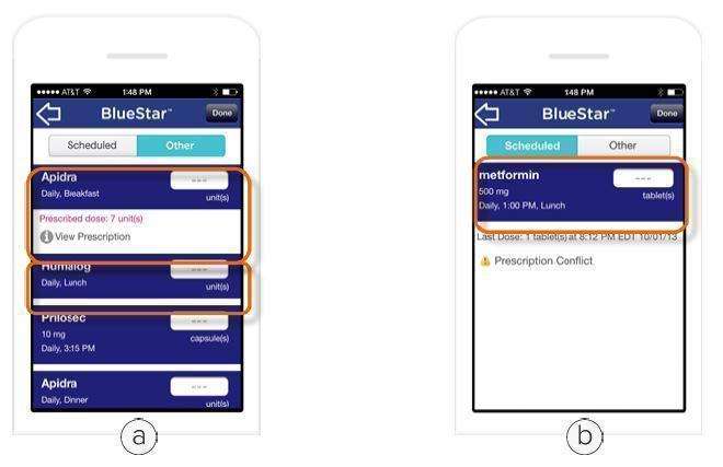 WellDoc BlueStar or WellDoc DiabetesManager System and DiabetesManager Rx System